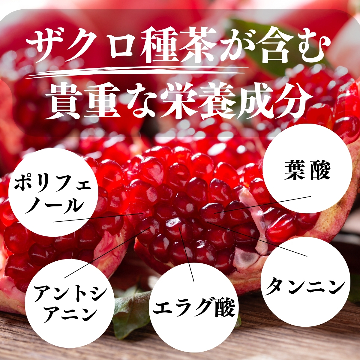 柘榴 zakuro_bb.jpg