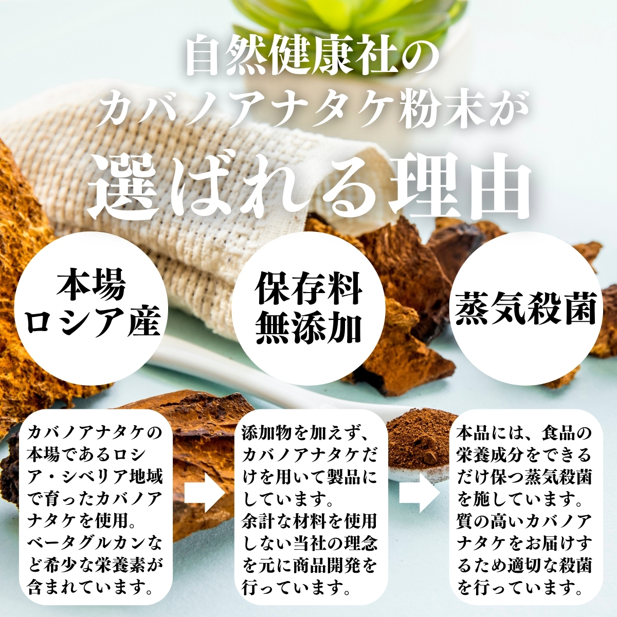 カバノアナタケが選ばれる理由
