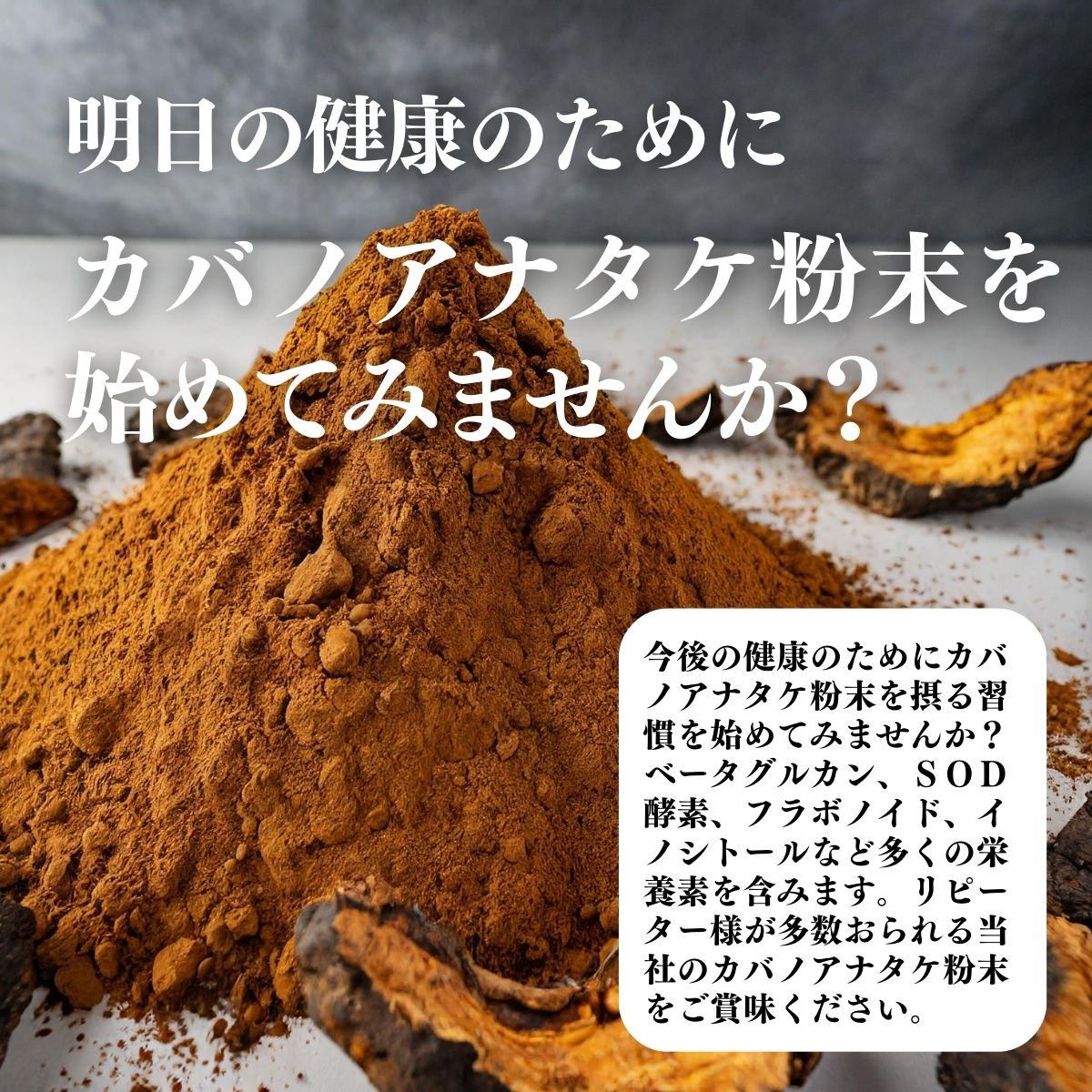 カバノアナタケ粉末を始めてみませんか？