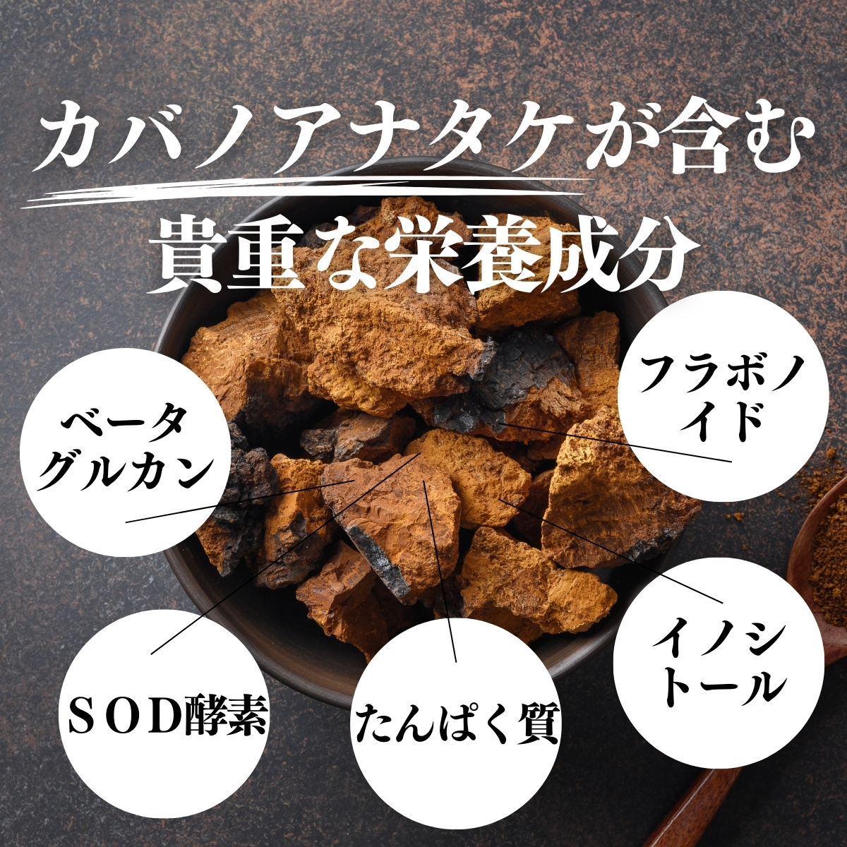 カバノアナタケが含む貴重な栄養成分