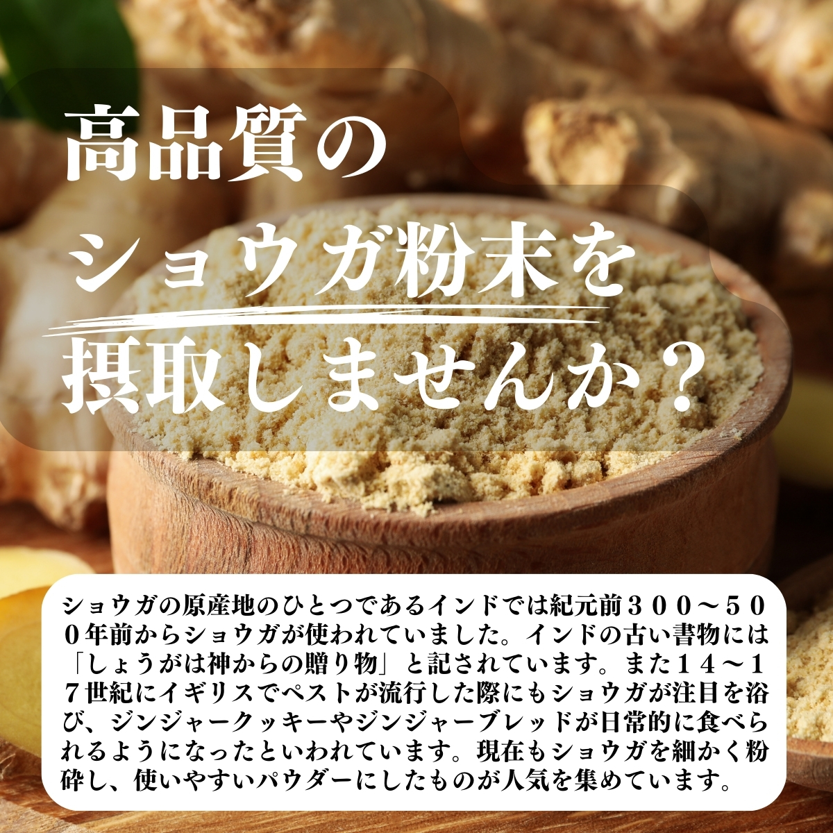 高品質のショウガ粉末を摂取しませんか？