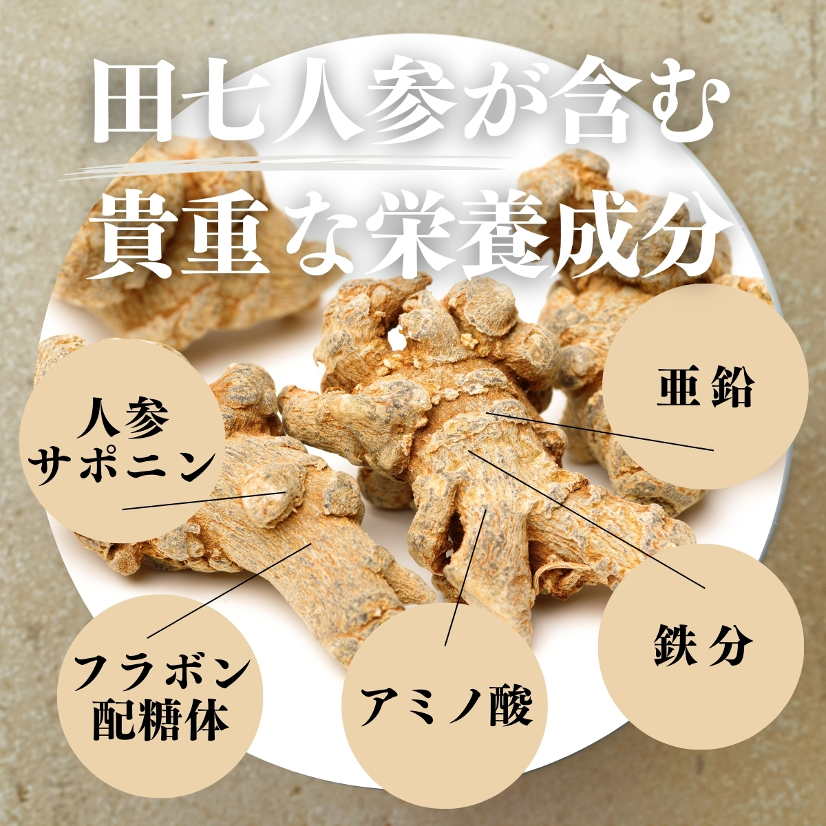 田七人参が含む貴重な栄養成分