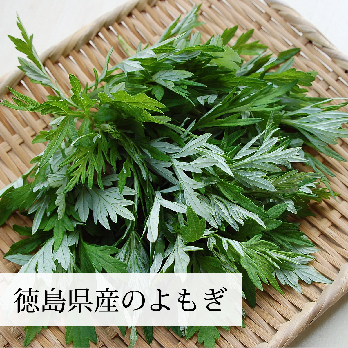 自然健康社 乾燥よもぎ1kg