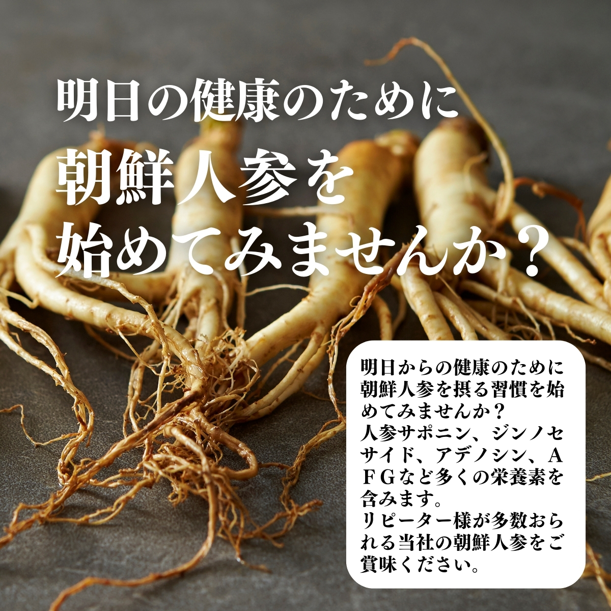 朝鮮人参をはじめてみませんか？
