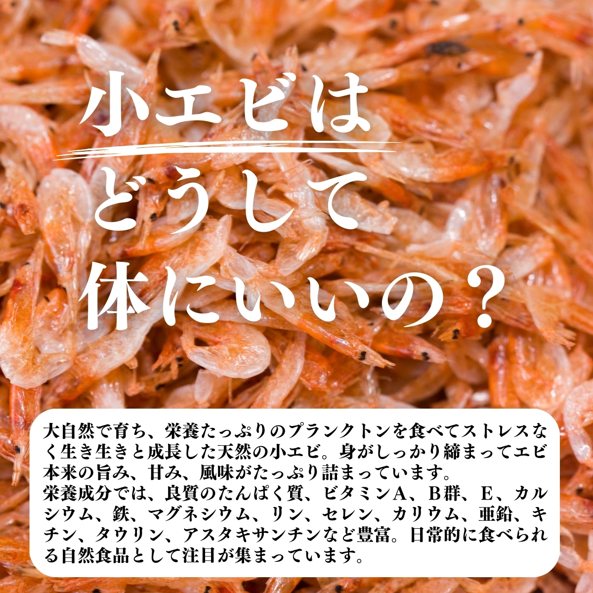小えびはどうして体にいいの？